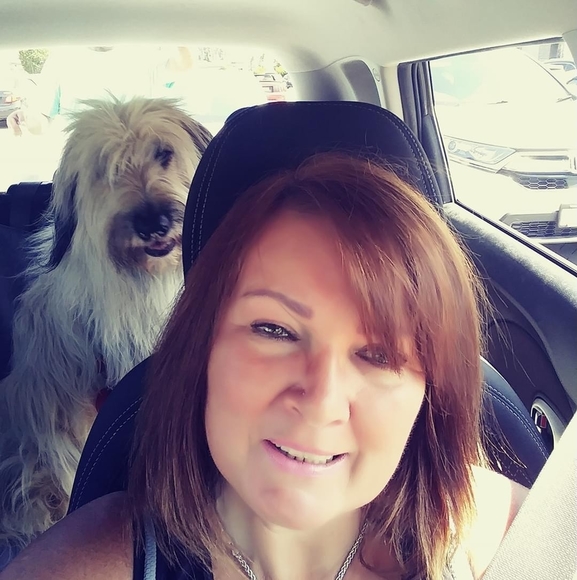 Meet your Posher, Donna - Picture 1 of 1